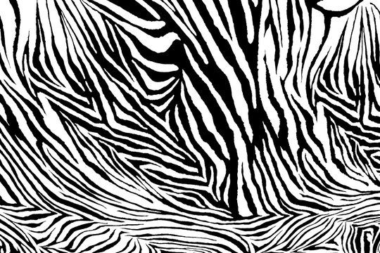 Zebra texture fabric style.