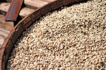 Fresh coffee beans on wooden