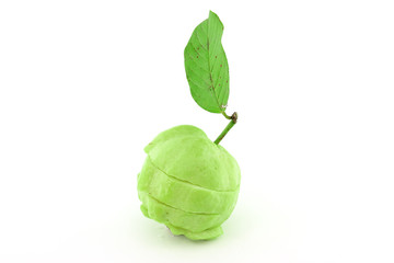 Guavas with leave