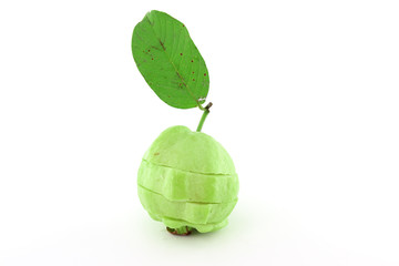 Guavas with leave
