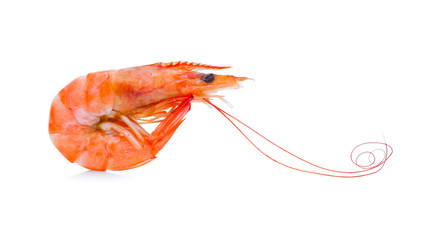 Seafood, Shrimp, Prawn isolated on a white background.