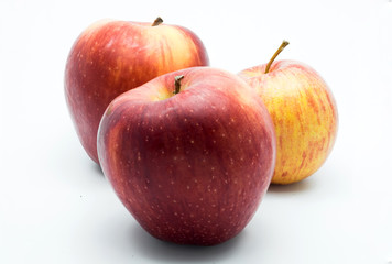 apples on the white background