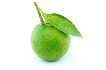 Sweet green orange on white isolated background