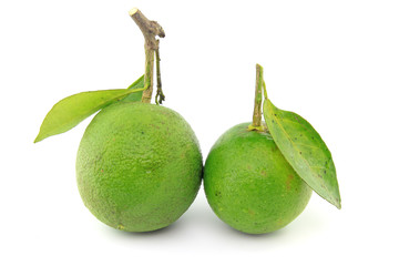 Sweet green orange on white isolated background