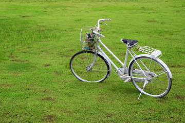 Fototapeta na wymiar Old bicycle on green grass