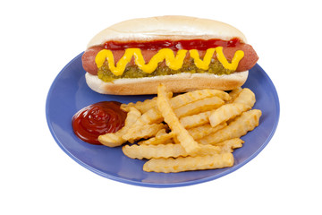 fries and hotdog sandwich