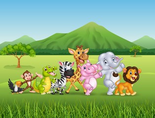 Wild animal cartoon
