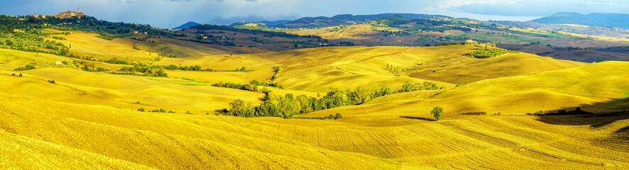 beautiful, sunny and  morning in Tuscany