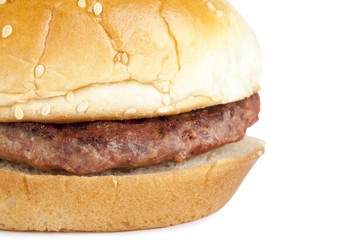 macro image of hamburger