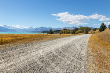 Fototapeta na wymiar empty rural road through pasture in fine day in new zealand