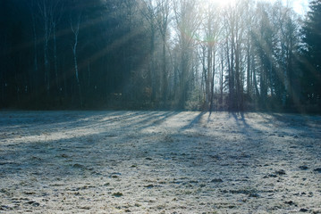 Obraz premium misty morning
