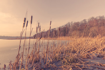 Sunset by a frozen lake