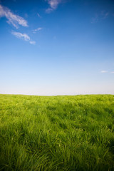 Obraz premium amazing green field with cloud and sun
