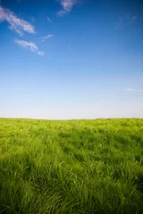 Papier Peint photo Lavable Campagne amazing green field with cloud and sun