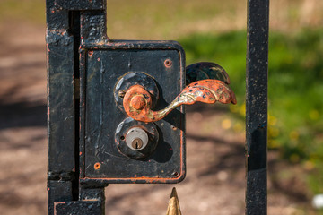 Vintage door handle on an outdoor gate