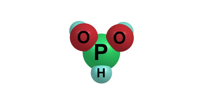 3D illustration of Phosphorous acid molecular structure isolated on white