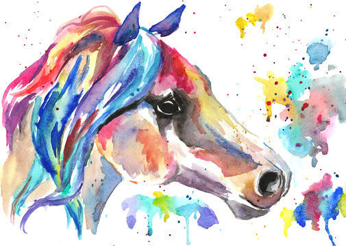 Horse head. Color watercolor illustration. Hand drawn