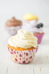 Selection of colorful cupcakes, white background