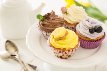 Fototapeta na wymiar Selection of colorful cupcakes, white background