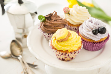 Selection of colorful cupcakes, white background