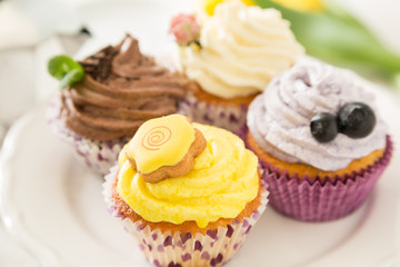 Selection of colorful cupcakes, white background