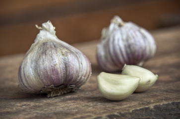 garlic close up
