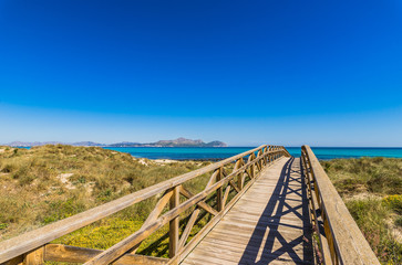 Fototapeta na wymiar Dunes Landscape Bay of Alcudia Majorca Spain