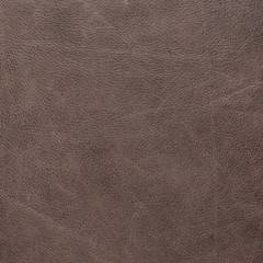 leather texture