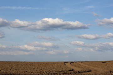 plowed field