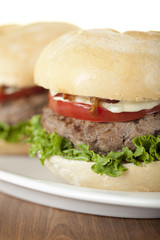 two burger sandwiches on plate
