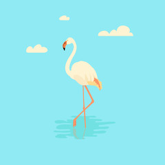 Vector illustration of a white flamingo standing in water on one leg. Exotic bird made in flat style. Flat flamingo bird symbol. Flamingo icon. Flamingo vector silhouette isolated on blue background.