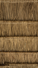 Thatched roof.