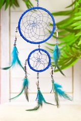 Blue Native American Dream Catcher and Feathers