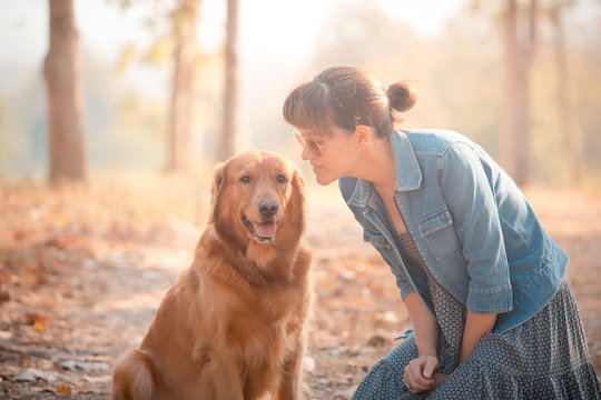 Golden retriever dog and Beautiful woman