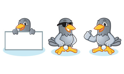 Pigeon Mascot Vector bring board