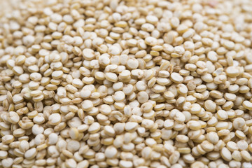 Healthy white quinoa seeds on white background