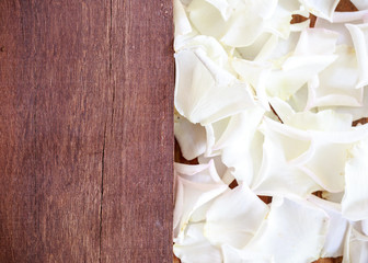 white petal rose on wooden