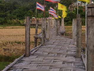 Bamboo bridge pass  rice field to the temple