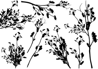 Set of Shrub Branch Silhouettes - Black Detailed Illustrations, Vector