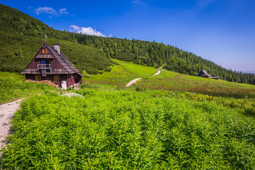 Obraz premium Hala Gasienicowa(Valey Gasienicowa) in Tatra mountains in Zakopa