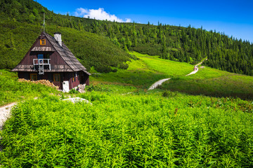 Fototapeta premium Hala Gasienicowa(Valey Gasienicowa) in Tatra mountains in Zakopa