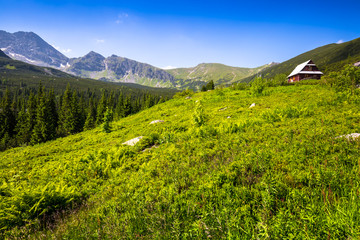 Hala Gasienicowa(Valey Gasienicowa) in Tatra mountains in Zakopa