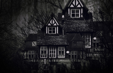 scary house in mysterious horror forest 