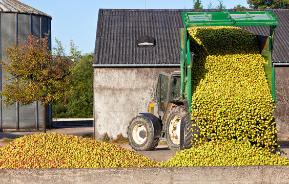 Calvados Produktion Normandie