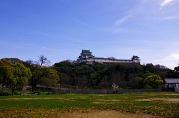 Fototapeta na wymiar 桜の咲いてる和歌山城