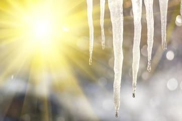 icicles on a blurred background