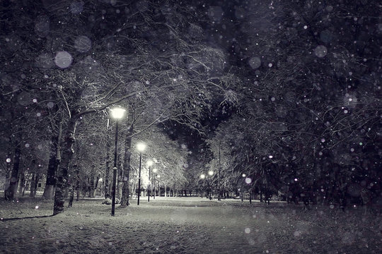 Night winter landscape in the alley of city park