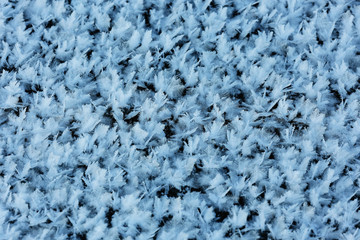 texture of frost crystals background