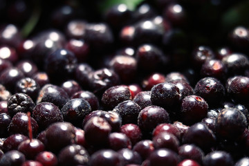 texture of berries chokeberry