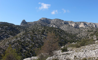 Fototapeta na wymiar Calanques de Cassis - Côte d’Azur 12